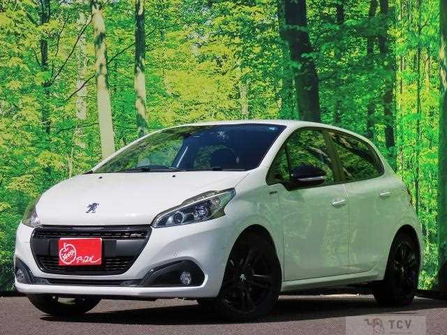 2019 Peugeot Peugoet Others