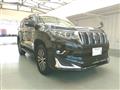 2019 Toyota Land Cruiser Prado