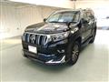 2019 Toyota Land Cruiser Prado