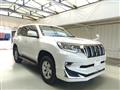 2019 Toyota Land Cruiser Prado