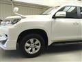 2019 Toyota Land Cruiser Prado