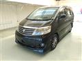 2007 Toyota Alphard