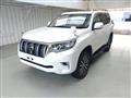 2019 Toyota Land Cruiser Prado