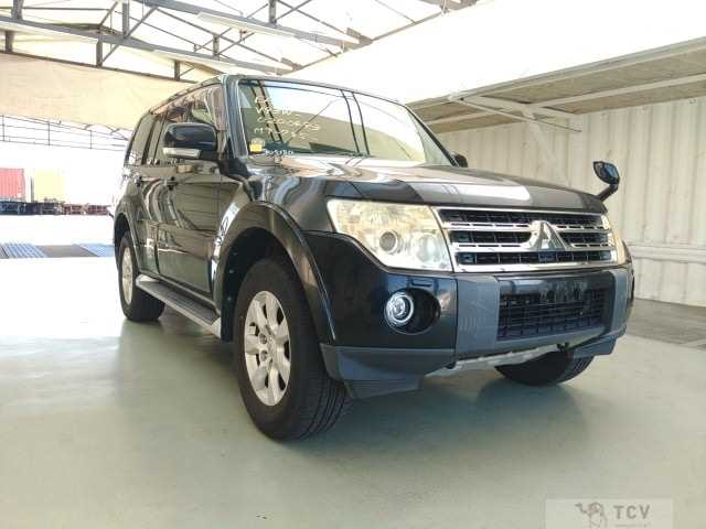 2009 Mitsubishi Pajero