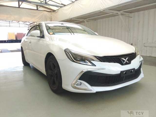 2010 Toyota Mark X