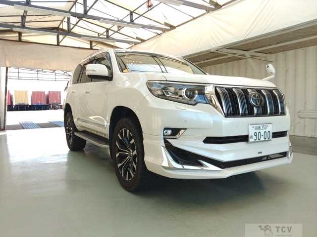 2019 Toyota Land Cruiser Prado
