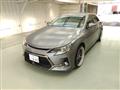 2011 Toyota Mark X