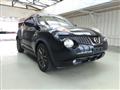 2013 Nissan Juke