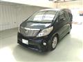 2010 Toyota Alphard