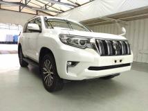 2019 Toyota Land Cruiser Prado
