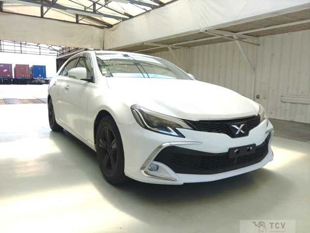 2010 Toyota Mark X