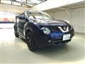 2014 Nissan Juke