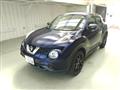 2014 Nissan Juke