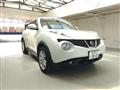 2010 Nissan Juke