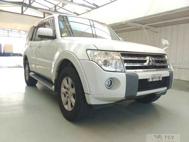 2011 Mitsubishi Pajero