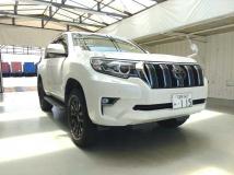 2019 Toyota Land Cruiser Prado