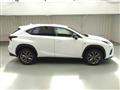 2019 Lexus NX