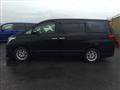 2013 Toyota Alphard