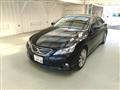 2010 Toyota Mark X