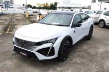 2025 Peugeot Peugoet Others