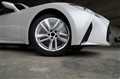 2025 Lexus IS