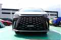 2025 Lexus Other