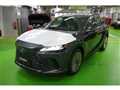 2026 Lexus RX