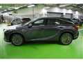 2026 Lexus RX