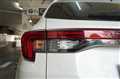 2025 Holden Holden Others
