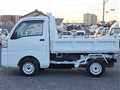 2019 Daihatsu Hijet Truck