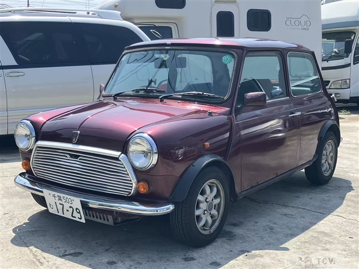 1991 Rover Mini
