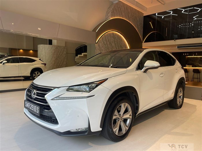 2015 Lexus NX