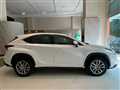2017 Lexus NX