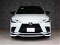 2025 Lexus RX
