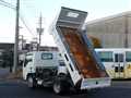 2011 Isuzu Elf Truck