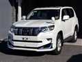 Toyota/Land Cruiser Prado