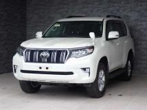 2019 Toyota Land Cruiser Prado