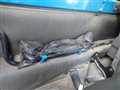 1992 Mitsubishi Canter