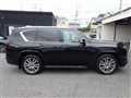 2024 Lexus LX
