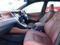 2019 Toyota Harrier