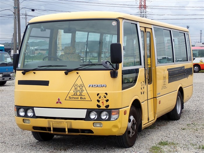 2002 Mitsubishi Rosa