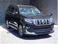 2021 Toyota Land Cruiser Prado