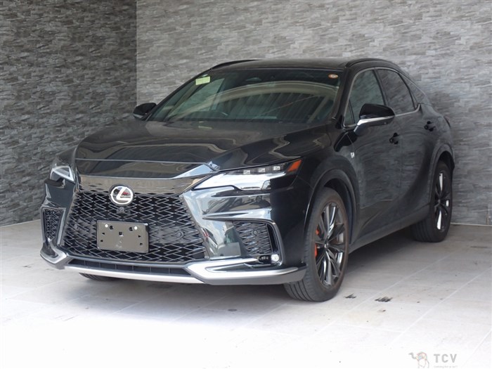 2024 Lexus RX