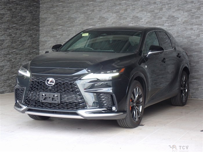2024 Lexus RX