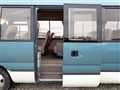 1997 Toyota Coaster