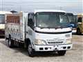 2008 Toyota Dyna Truck