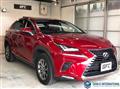 2020 Lexus NX