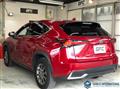 2020 Lexus NX