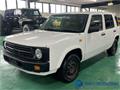 1996 Nissan Rasheen