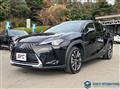 2020 Lexus Other